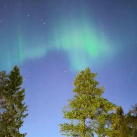 The Northern Oasis *