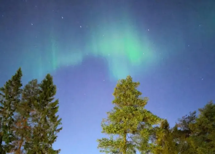 The Northern Oasis *