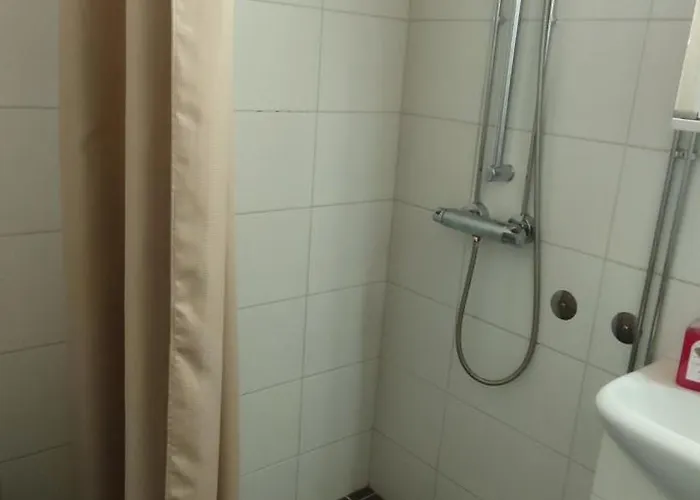 The Northern Oasis *